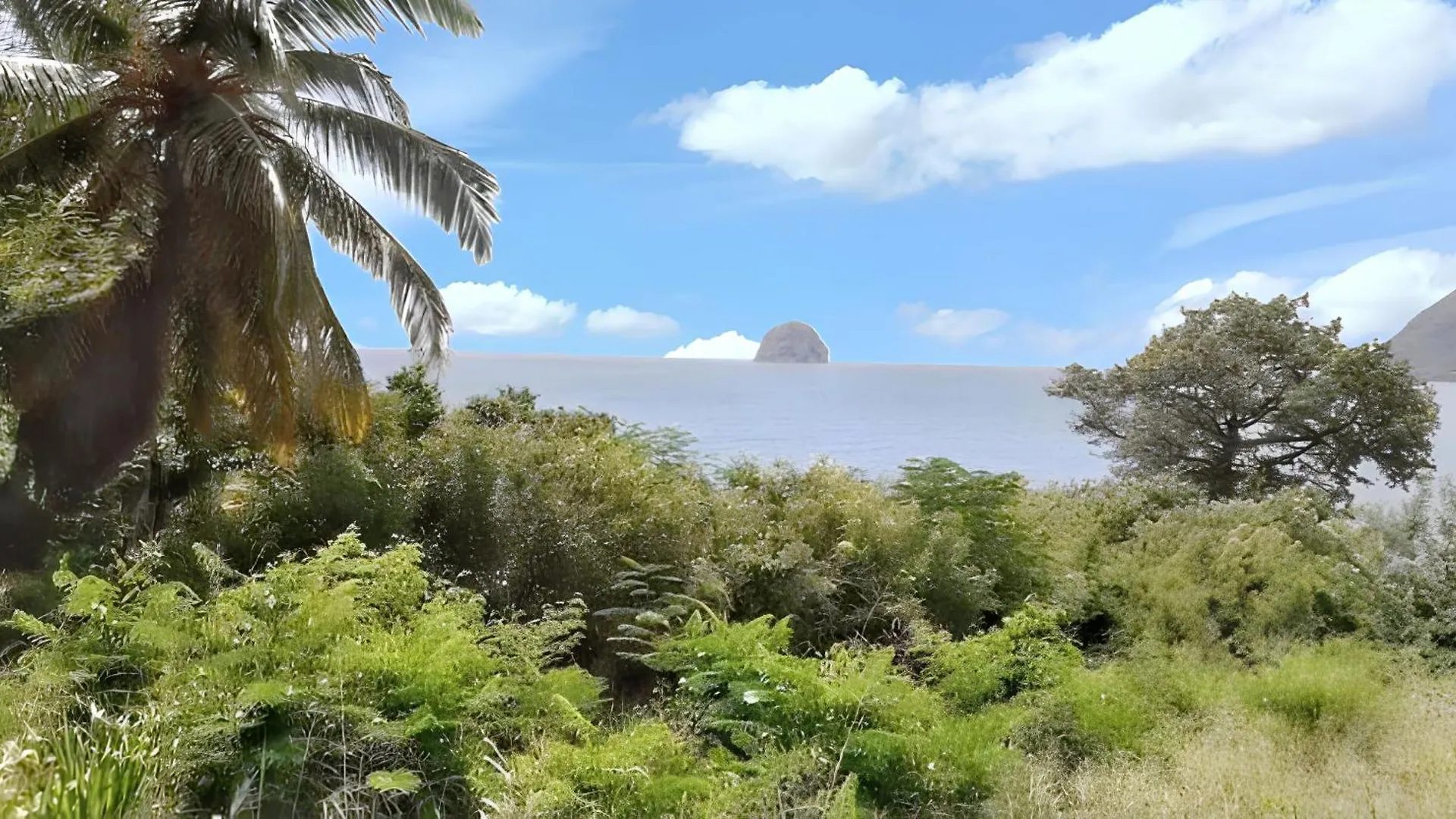 Maison Spacieuse Avec Jardin Au Diamant, Proche Plages Le Diamant
